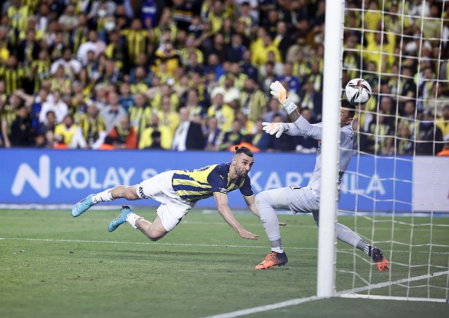 揮自身價值 揮自身價值