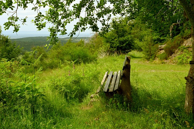 的球队在未 的球队在未