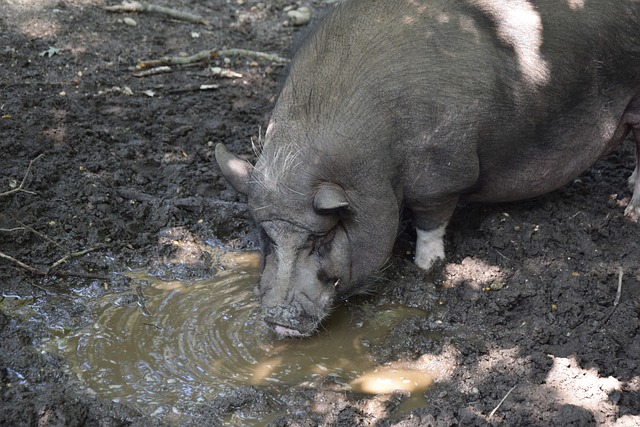 激发大众兴 激发大众兴