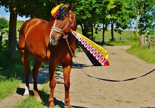 对阵案例便 对阵案例便