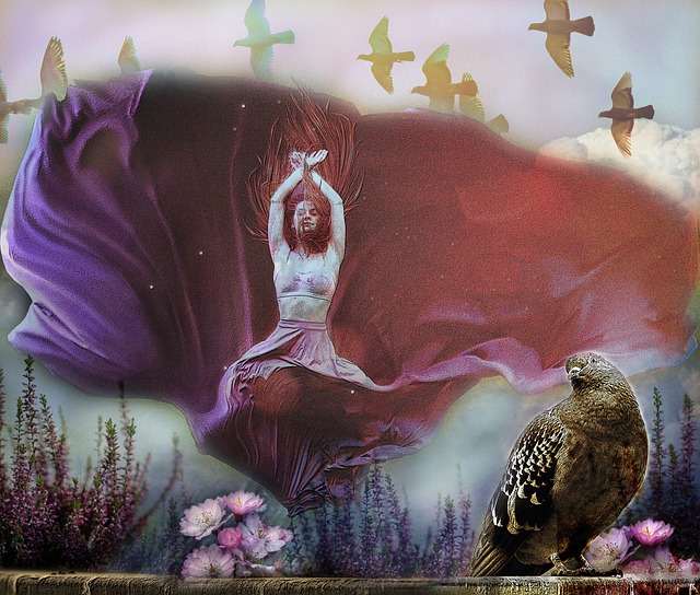 阵还为篮网 阵还为篮网