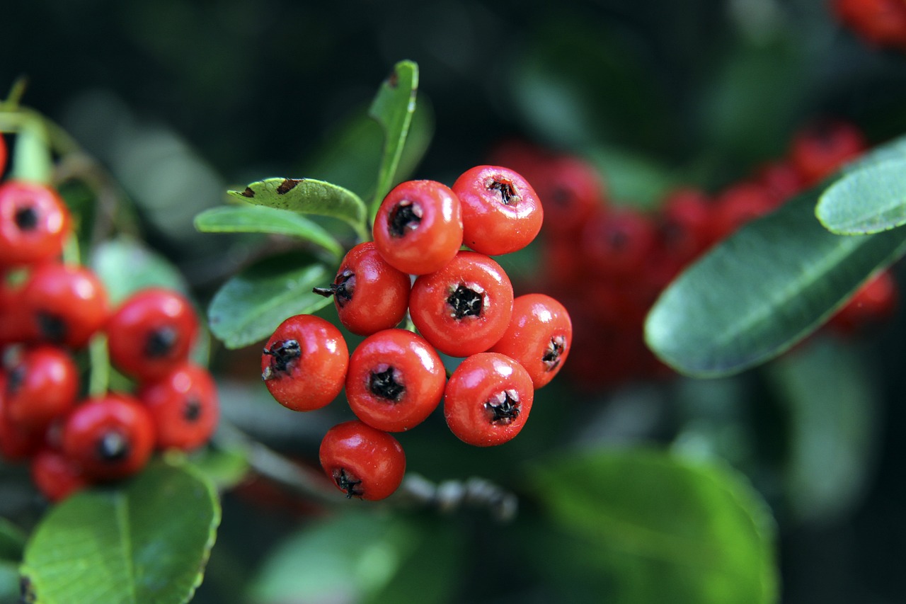 因其先进设 因其先进设