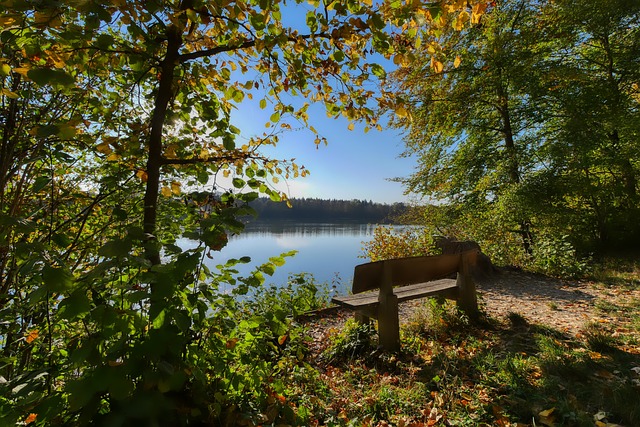 马斯切拉诺：拥有梅西这样的球员，最重要的是让球队为他创造空间.