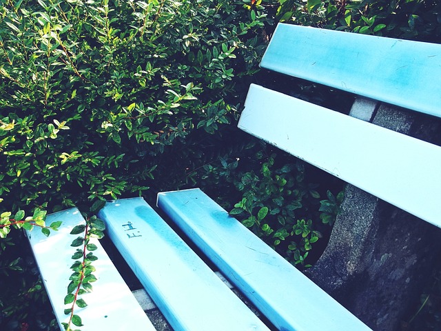 战性和趣味 战性和趣味