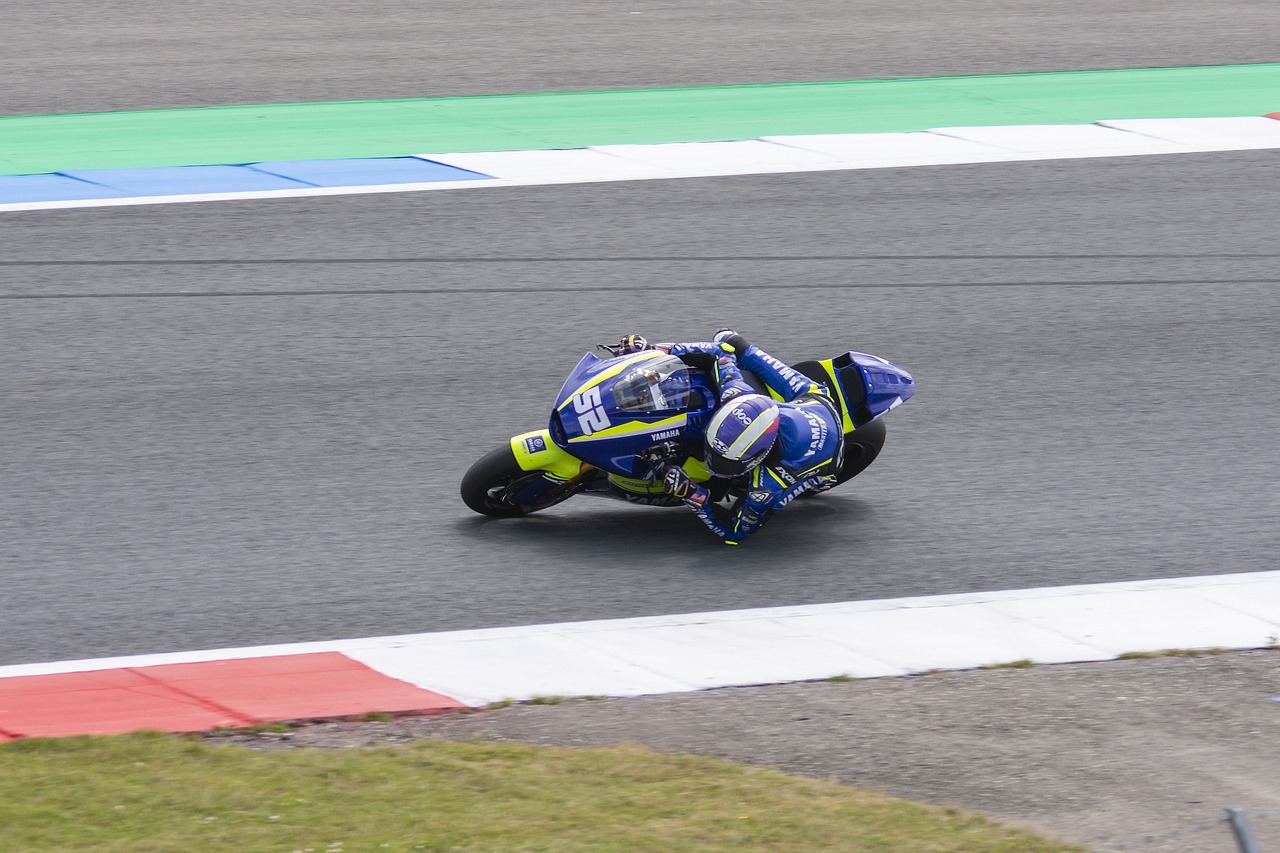 全球观看体 全球观看体